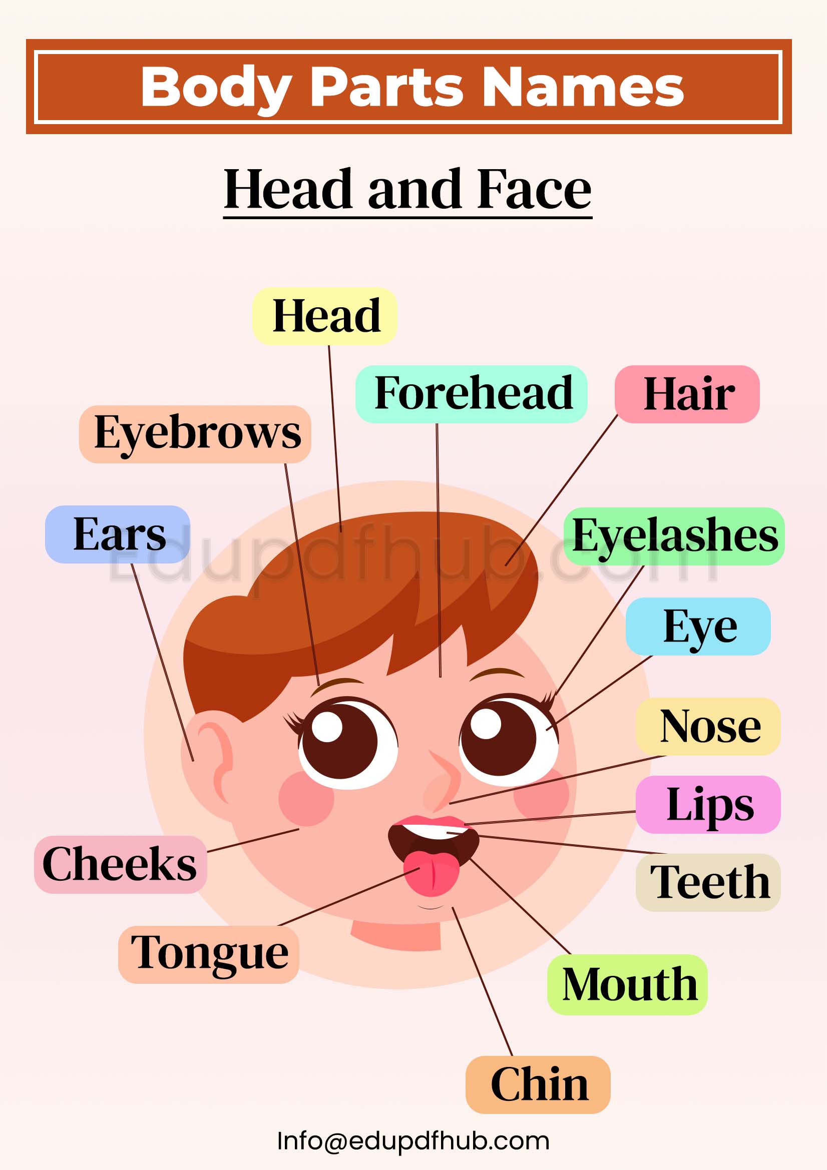 Body Parts Names